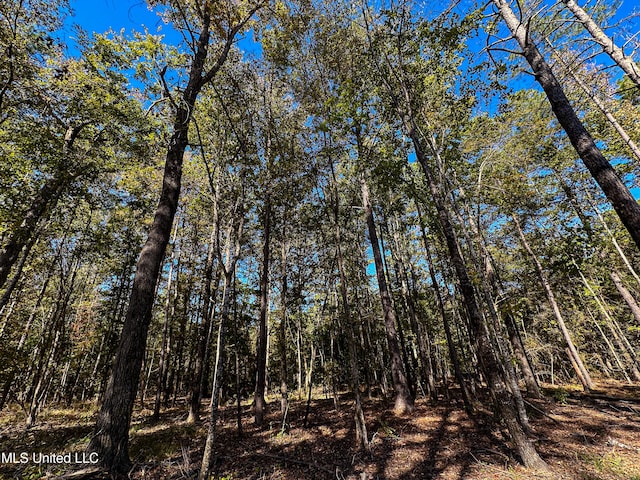106 Crockrell Rd, Lexington, MS 39095 - view of nature