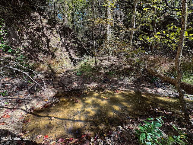 106 Crockrell Rd, Lexington, MS 39095 - view of nature