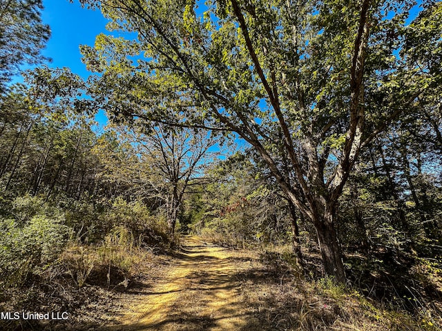 106 Crockrell Rd, Lexington, MS 39095 - view of local wilderness