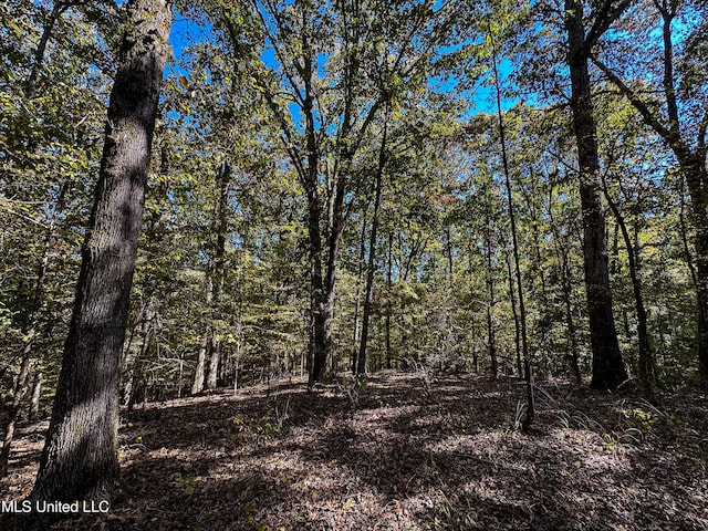 106 Crockrell Rd, Lexington, MS 39095 - view of landscape