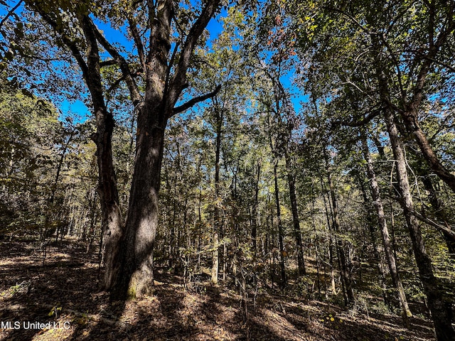 106 Crockrell Rd, Lexington, MS 39095 - view of nature