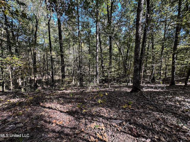 106 Crockrell Rd, Lexington, MS 39095 - view of landscape