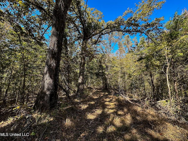 106 Crockrell Rd, Lexington, MS 39095 - view of local wilderness