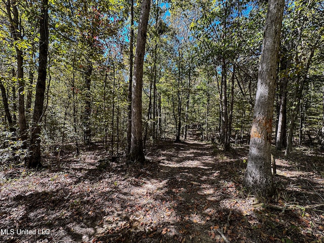 106 Crockrell Rd, Lexington, MS 39095 - view of local wilderness