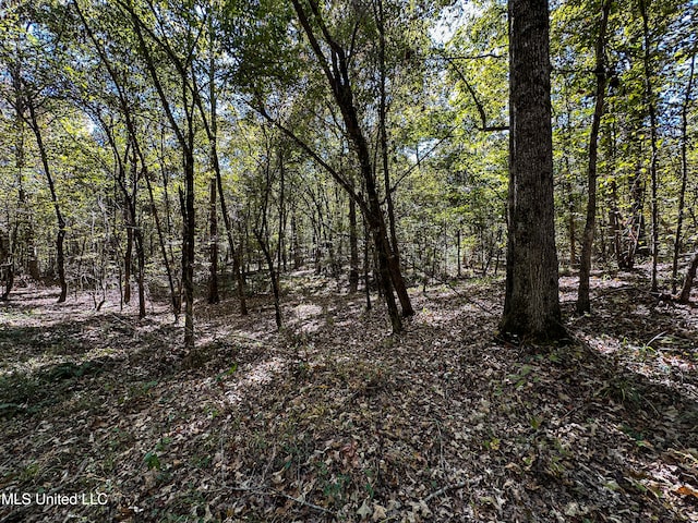 106 Crockrell Rd, Lexington, MS 39095 - view of nature