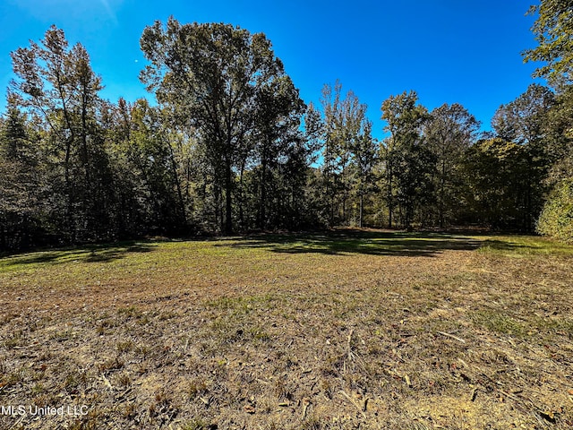 106 Crockrell Rd, Lexington, MS 39095 - view of yard