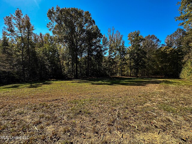 106 Crockrell Rd, Lexington, MS 39095 - view of yard