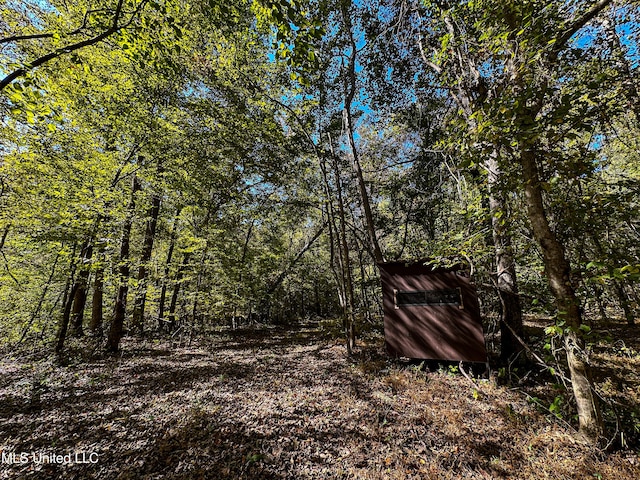 106 Crockrell Rd, Lexington, MS 39095 - view of nature