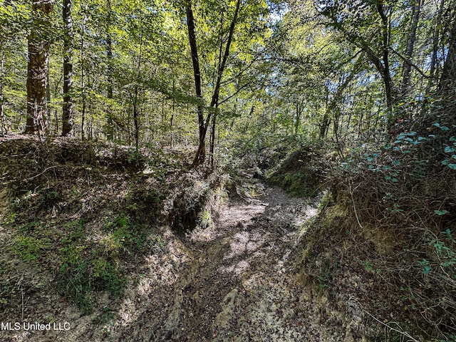 106 Crockrell Rd, Lexington, MS 39095 - view of local wilderness