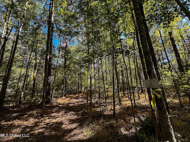 106 Crockrell Rd, Lexington, MS 39095 - view of local wilderness