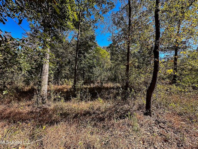 106 Crockrell Rd, Lexington, MS 39095 - view of landscape