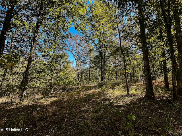 106 Crockrell Rd, Lexington, MS 39095 - view of local wilderness
