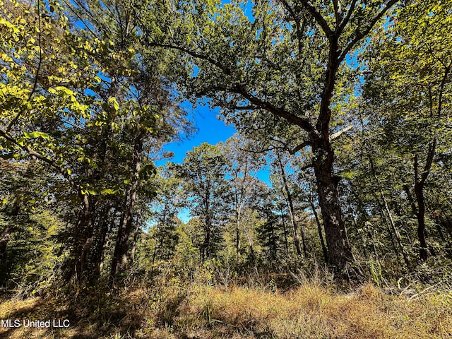 106 Crockrell Rd, Lexington, MS 39095 - view of nature