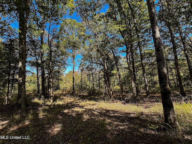 106 Crockrell Rd, Lexington, MS 39095 - view of local wilderness