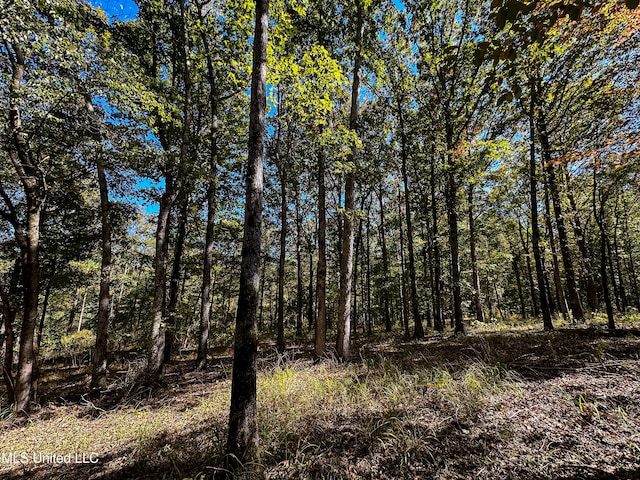 106 Crockrell Rd, Lexington, MS 39095 - view of landscape