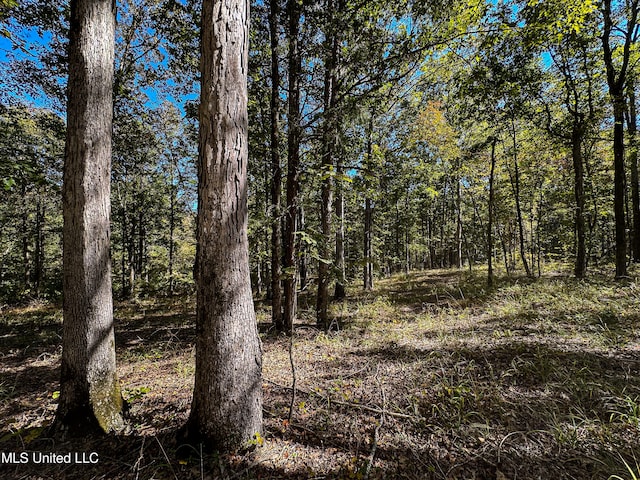 106 Crockrell Rd, Lexington, MS 39095 - view of nature