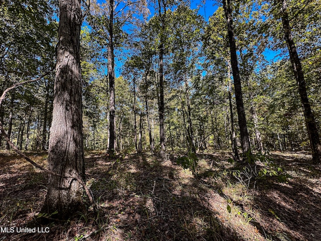 106 Crockrell Rd, Lexington, MS 39095 - view of nature