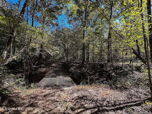 106 Crockrell Rd, Lexington, MS 39095 - view of road