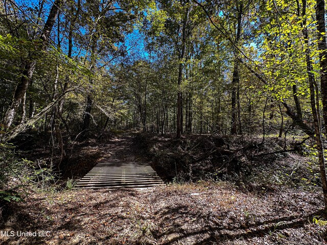 106 Crockrell Rd, Lexington, MS 39095 - view of nature
