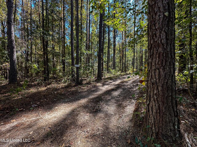 106 Crockrell Rd, Lexington, MS 39095 - view of landscape