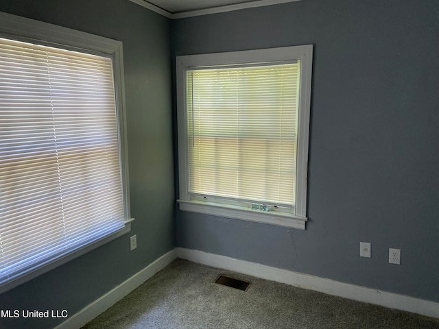 empty room with crown molding and carpet floors