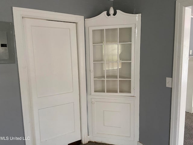 closet with electric panel