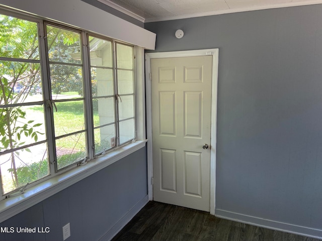 spare room featuring dark hardwood / wood-style flooring, ornamental molding, and a wealth of natural light