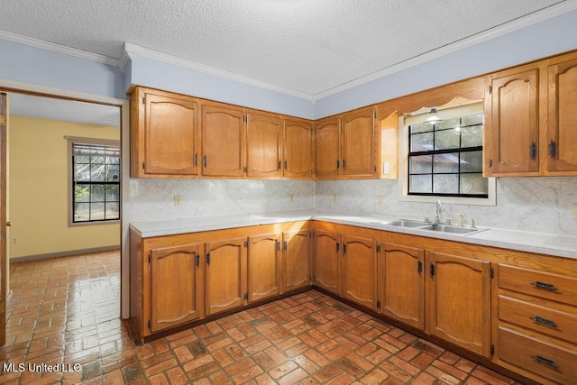 kitchen with a textured ceiling, ornamental molding, sink, and tasteful backsplash