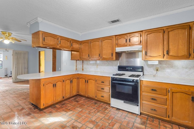 kitchen with ceiling fan, tasteful backsplash, kitchen peninsula, crown molding, and white range with gas cooktop