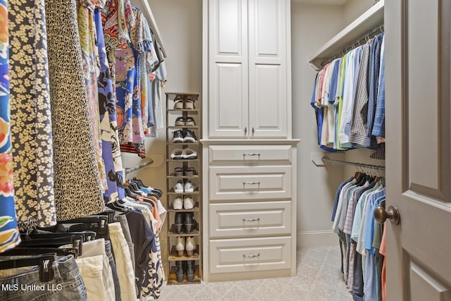 133 Sycamore Rdg, Madison, MS 39110 - walk in closet featuring carpet