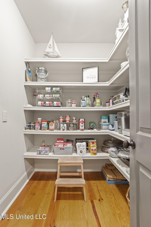 133 Sycamore Rdg, Madison, MS 39110 - view of pantry