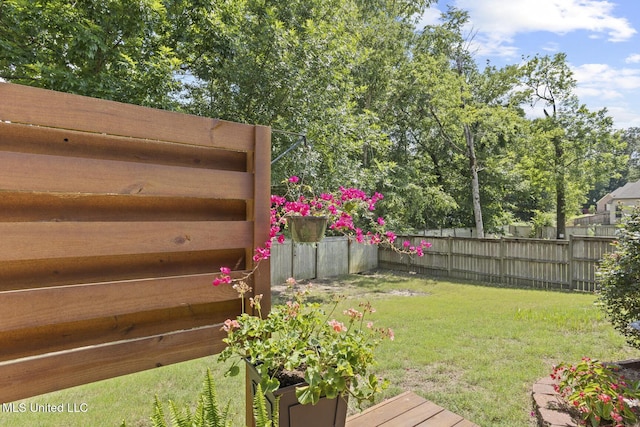 133 Sycamore Rdg, Madison, MS 39110 - view of yard