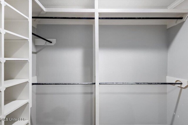 125 Lakeview Dr, Canton, MS 39046 - view of walk in closet