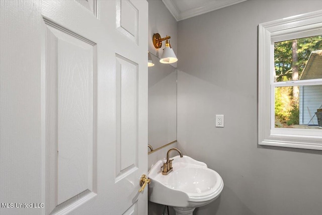 125 Lakeview Dr, Canton, MS 39046 - bathroom with a sink and crown molding
