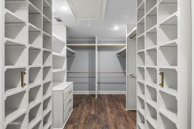 125 Lakeview Dr, Canton, MS 39046 - walk in closet with dark wood-type flooring and attic access