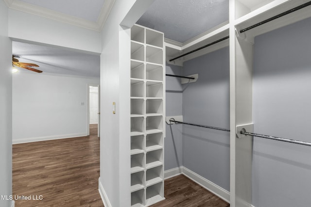 125 Lakeview Dr, Canton, MS 39046 - walk in closet with dark wood-type flooring and a ceiling fan