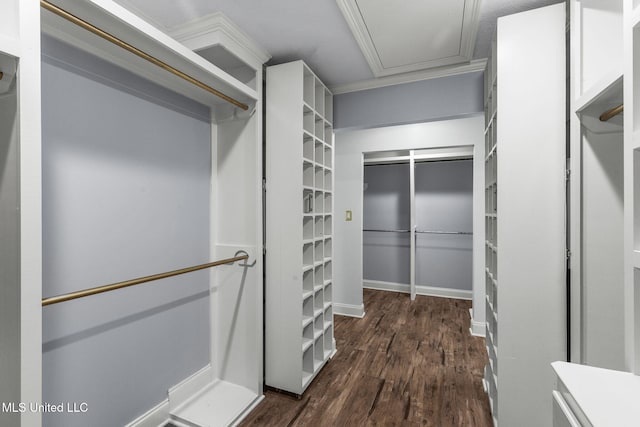 125 Lakeview Dr, Canton, MS 39046 - spacious closet featuring dark wood finished floors