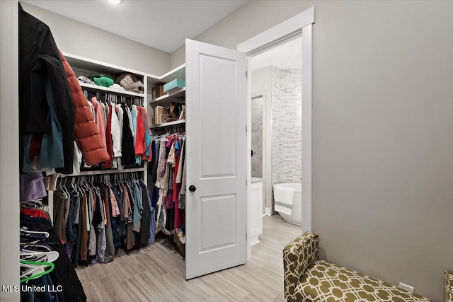 view of walk in closet