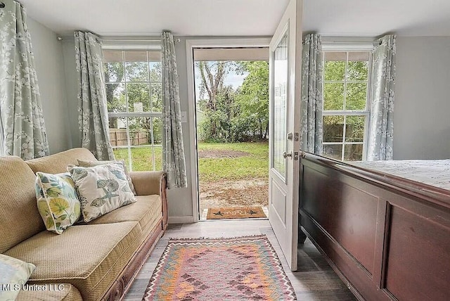 doorway to outside featuring hardwood / wood-style floors and a healthy amount of sunlight