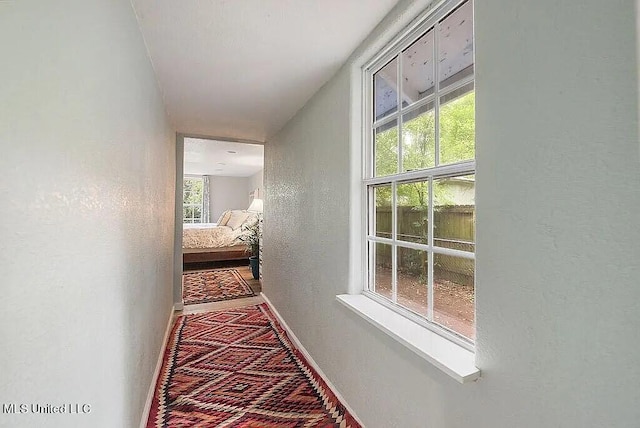 hall featuring carpet floors and a healthy amount of sunlight