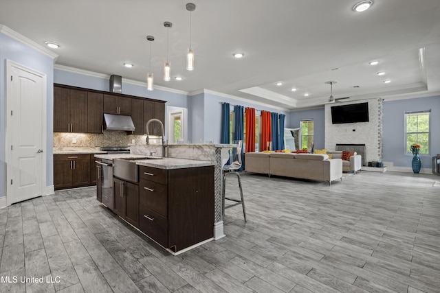 kitchen with under cabinet range hood, a raised ceiling, a sink, dark brown cabinets, and ornamental molding