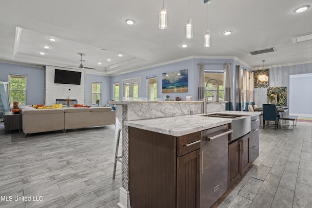 kitchen featuring dishwasher, a sink, a tray ceiling, light wood-style floors, and ceiling fan