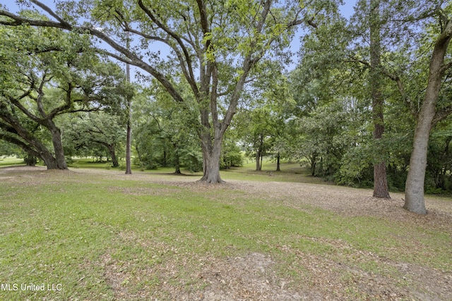 view of grassy yard