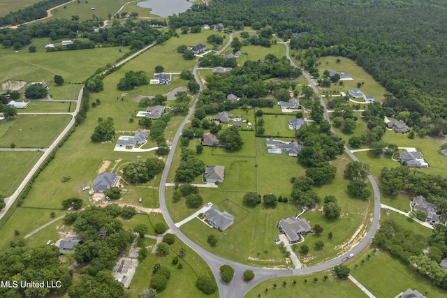 bird's eye view