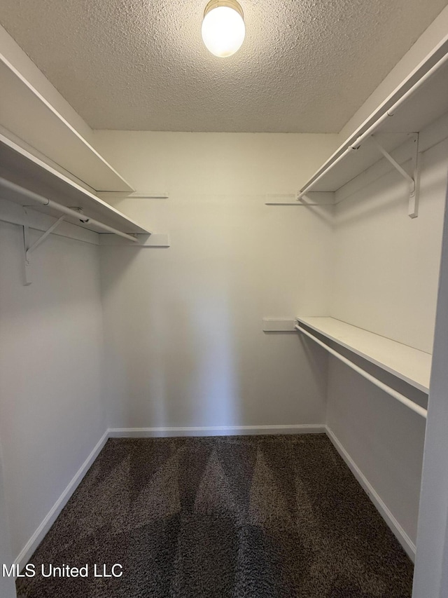 7120 Oak Forest Dr, Olive Branch, MS 38654 - walk in closet with carpet floors