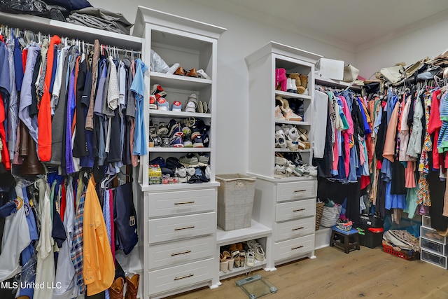 spacious closet with light wood-type flooring