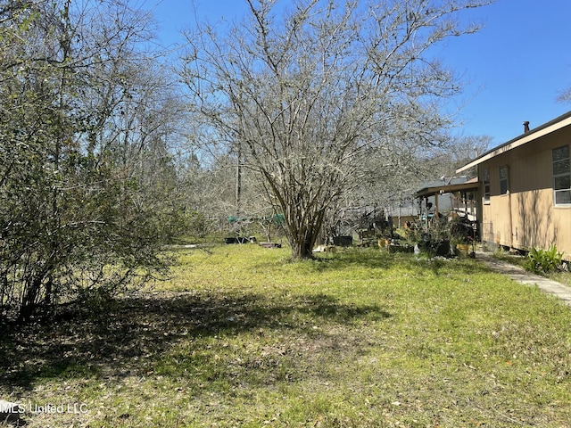 view of yard