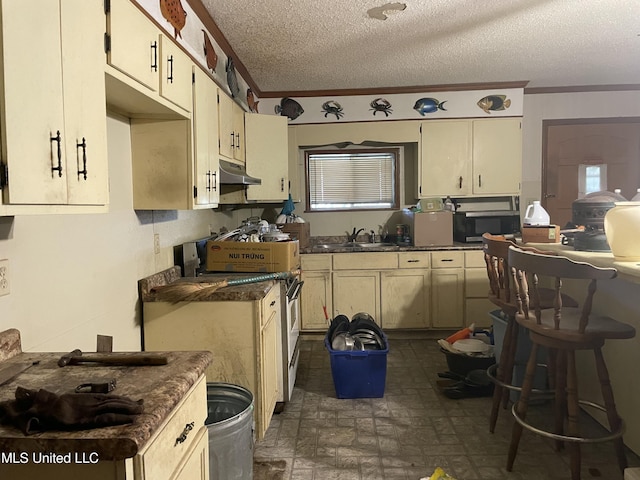 kitchen featuring dark countertops, gas stove, a sink, under cabinet range hood, and stainless steel microwave