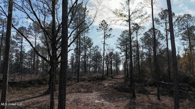 Listing photo 3 for Ratliff Ferry Rd, Canton MS 39046