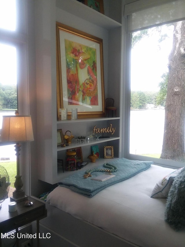 683B Cedar Hill Rd, Flora, MS 39071 - bedroom featuring multiple windows